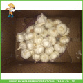 Jinxiang китайский свежий нормальный белый и чистый белый и красный и снег белый чеснок 5.0CM сетка сумка в 10 кг коробка